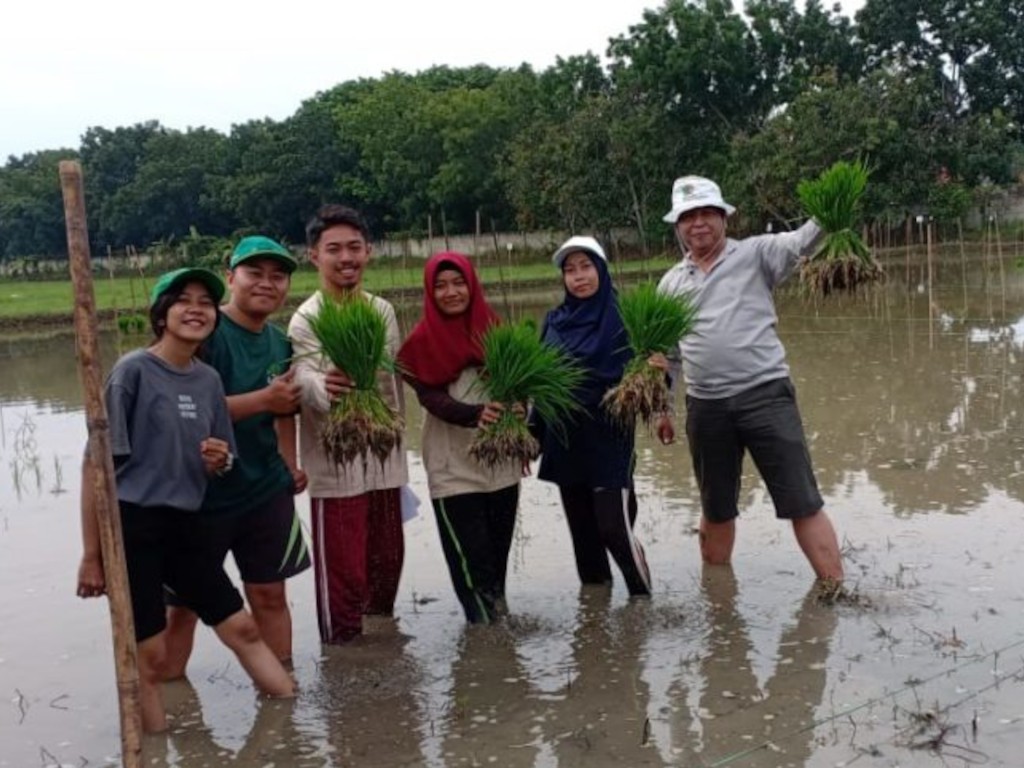 Praktikum Mahasiswa Agroteknologi di Kebun/Lahan Percobaan Fakultas Pertanian