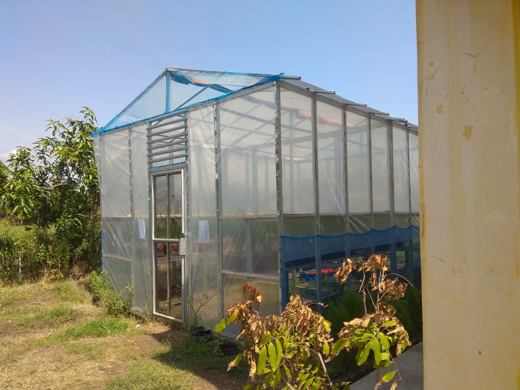 green house 1