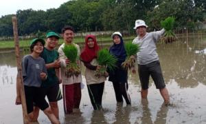 Praktikum Mahasiswa Agroteknologi di Kebun/Lahan Percobaan Fakultas Pertanian